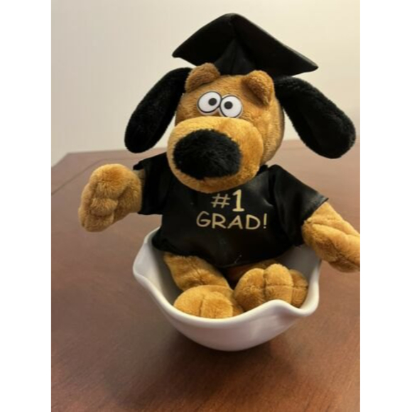 Dan Dee Collectors Choice #1 Grad Dog Plush Stuffed Animal 9.5" - Picture 1 of 4